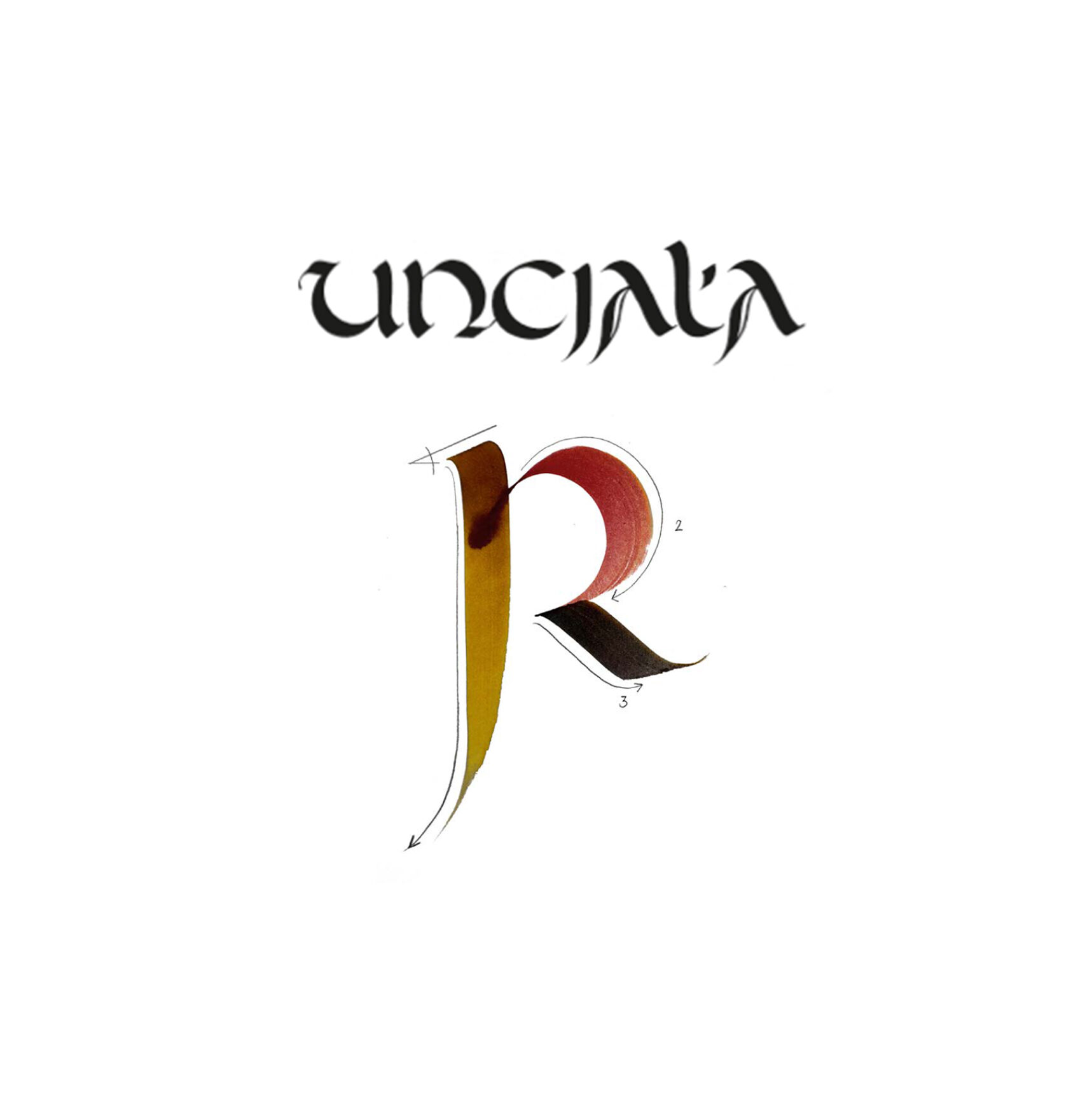 Uncjała – wzornik z ćwiczeniami PDF